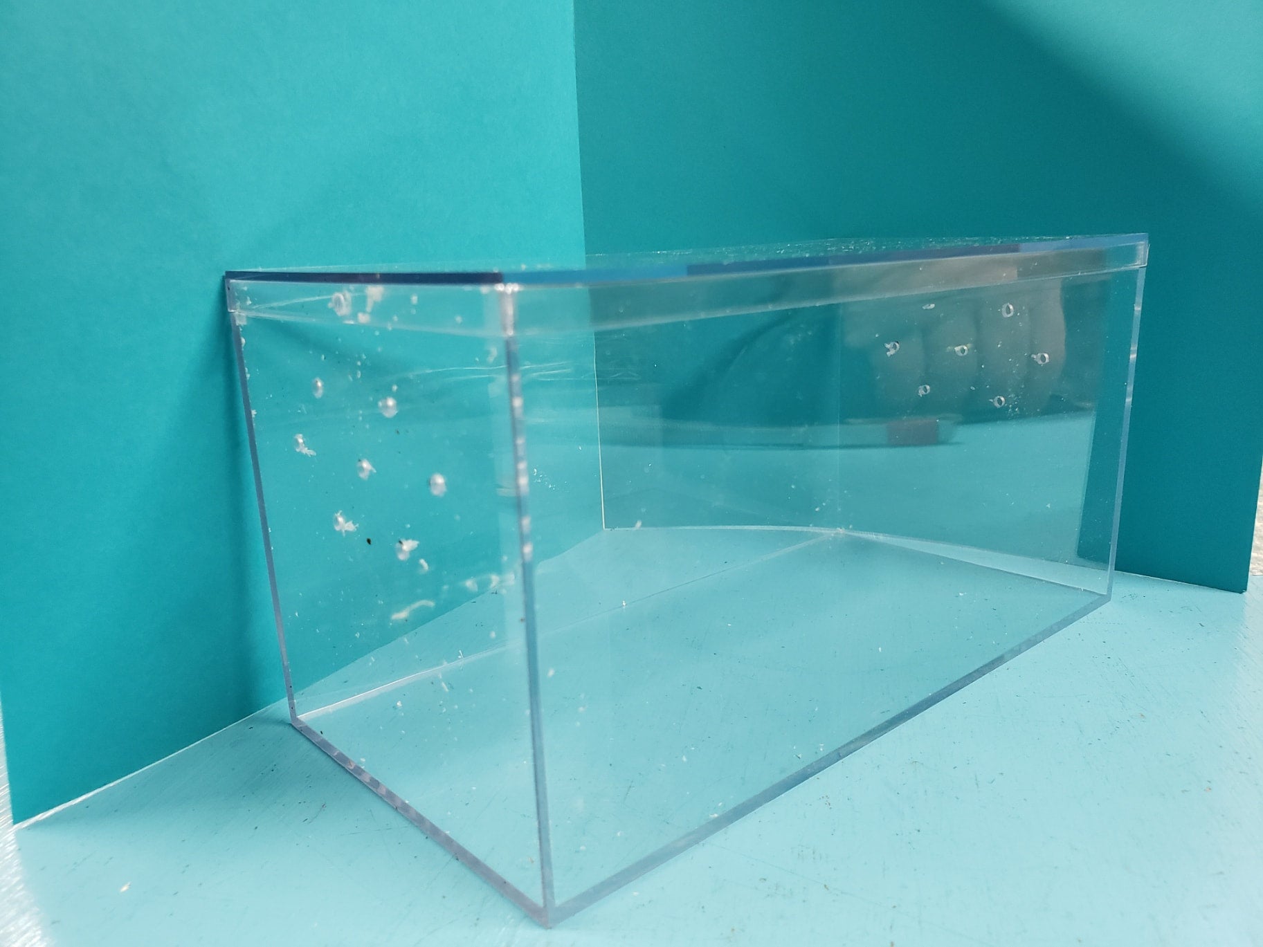 Large Terestrial Acrylic Container(8 x 4 x 4) Comes with thumbscrews to  secure the lid.