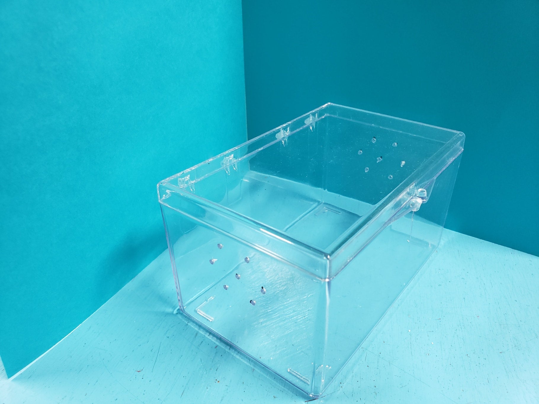 Large Chest Terestrial Acrylic Container(5 x 3 x 3)